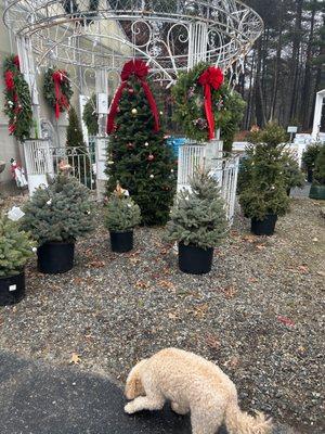 Reliable Appliance Service