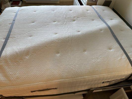 brand new avocado mattress