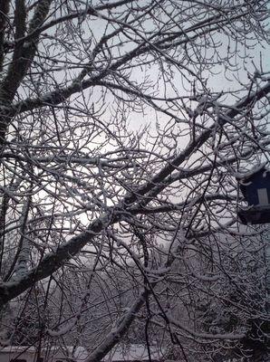 Moon Mountain RV Resort