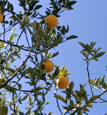 Prototypes Women Center