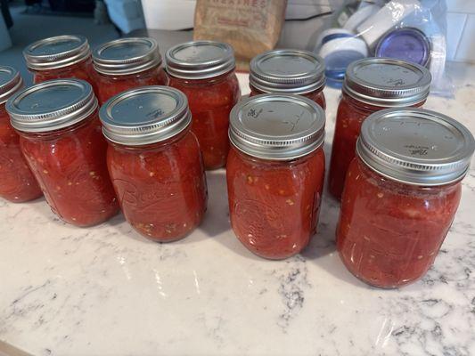 Canned delicious tomatoes!