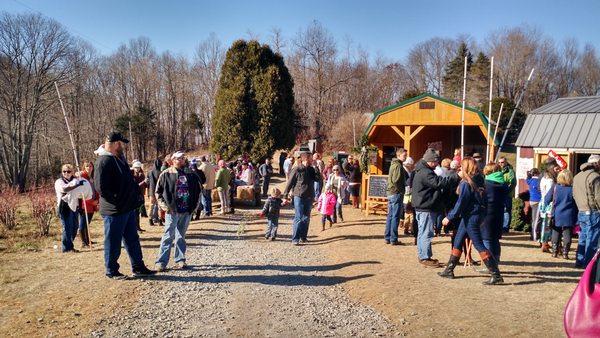 Greene Family Tree Farm