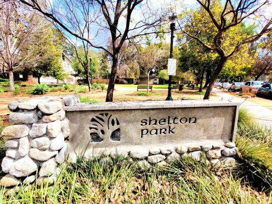Shelton Park