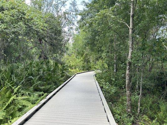 Upper Tampa Bay Area Trail