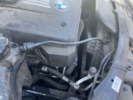 After: New hose replaced