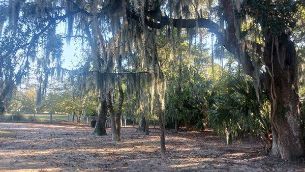 Dog Park At Govenors Park