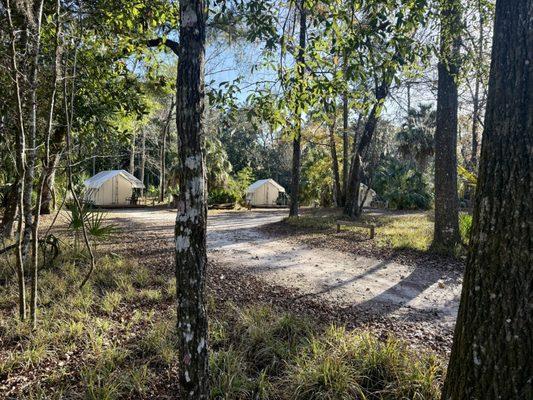 Manatee Springs State Park