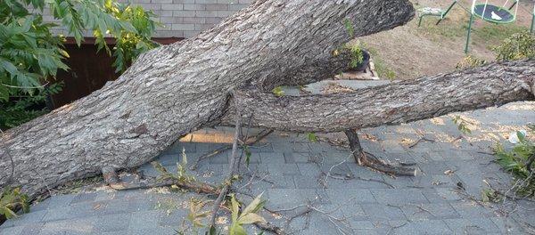 Gregs Custom Services