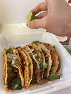 Birria tacos