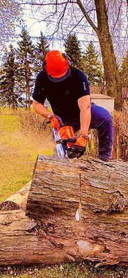 Behl's Tree & Lawn Service