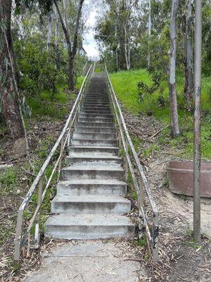 Stairs at Hosp Grove Park