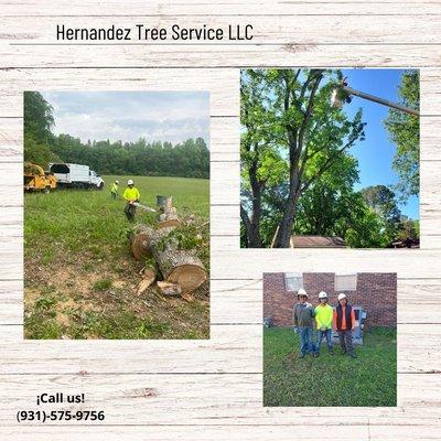 Hernandez Tree Service