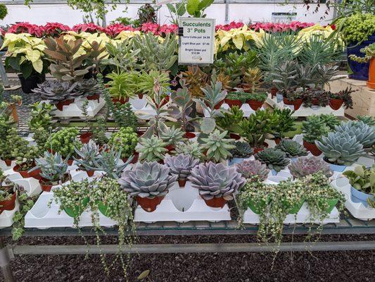 River Street Flowerland