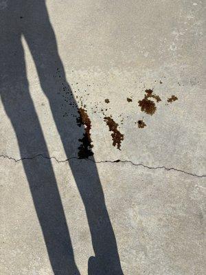 Valvoline Express Care