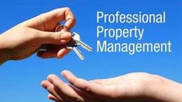 Cheese Head Freedom Services