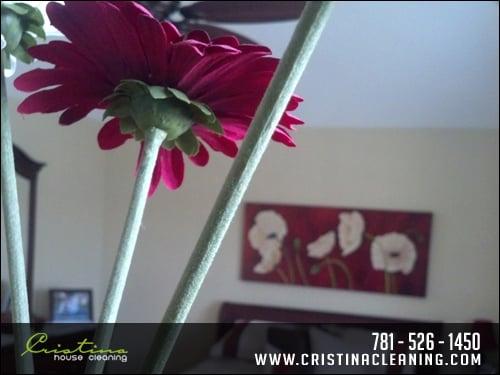 Cristina House Cleaning