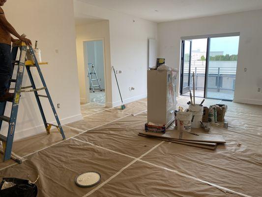 Painting with light colors not only brightens a room but it removes stale smells as well as adds continuity across all rooms.