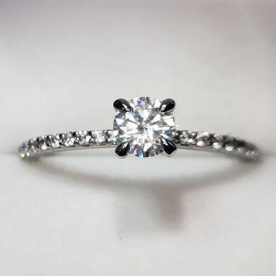 Enchanted By Windy Hill