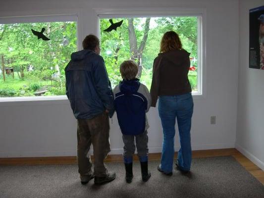 Ipswich River Wildlife Sanctuary