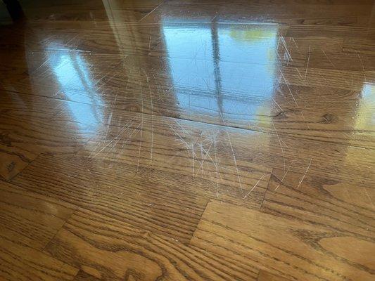 All Star Steam Cleaning