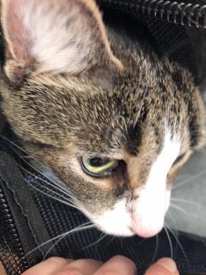 Northwoods Veterinary Clinic