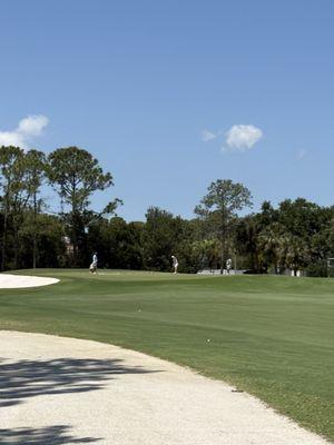 Feather Sound Country Club