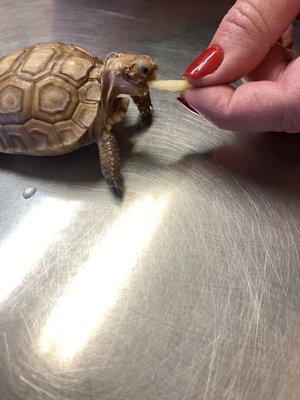 Sierra Veterinary Clinic