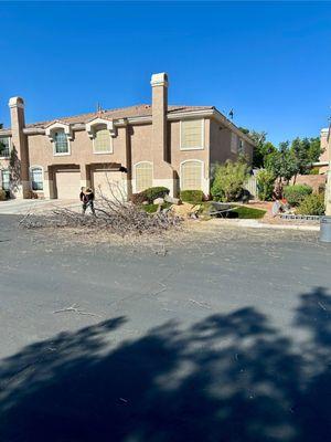 Duranchi Tree Service