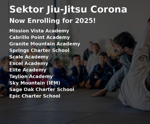 Sektor Jiu Jitsu - Corona
