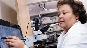 Court Approved DNA Paternity Test -$295