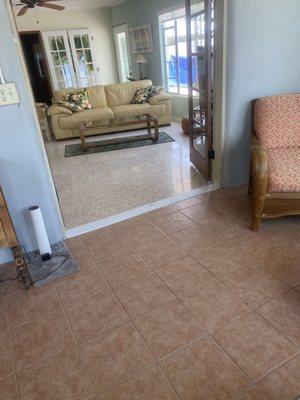 Obsessive Compulsive Cleaning