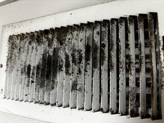 Mold on kitchen vent