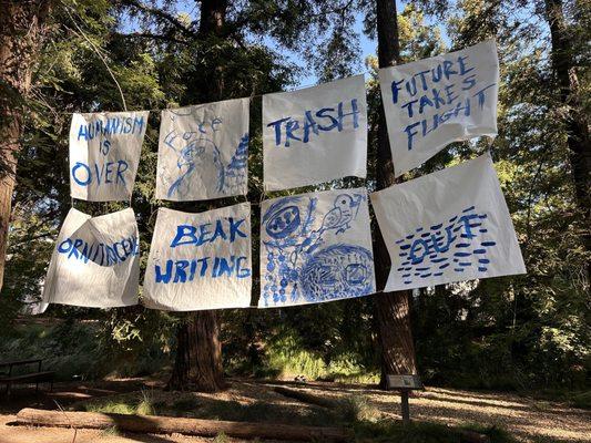 UC Davis Arboretum and Public Garden