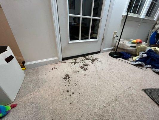 Creative Carpet Repair