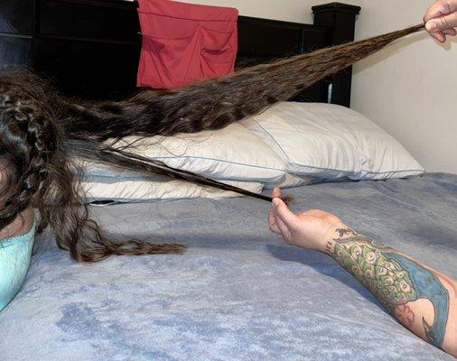 Capelli Academy of Cosmetology II