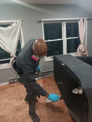 Roaches all inside the living room sofa