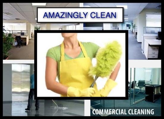 Amazingly Clean Maids