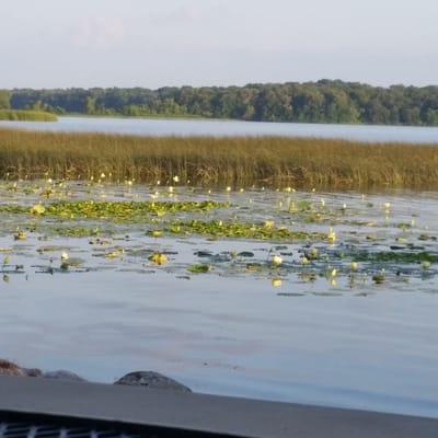 Rick's Muskie Lounge