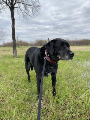 Sam Houston Trail Park