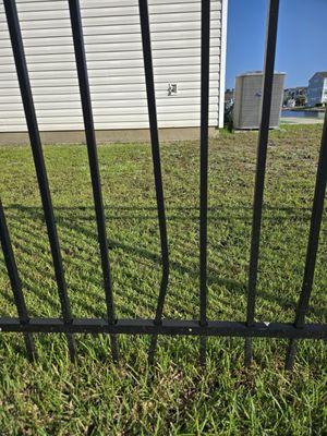 Always Green Landscaping