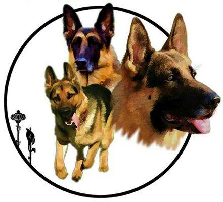 Petiquette Canine Charm School & Salon