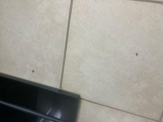 Flies everywhere!!!!