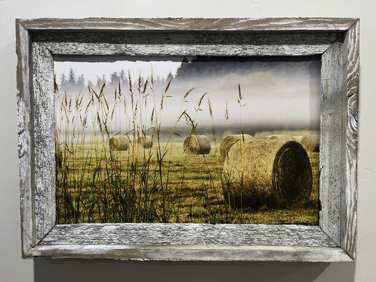 Mark Mitchell Photography