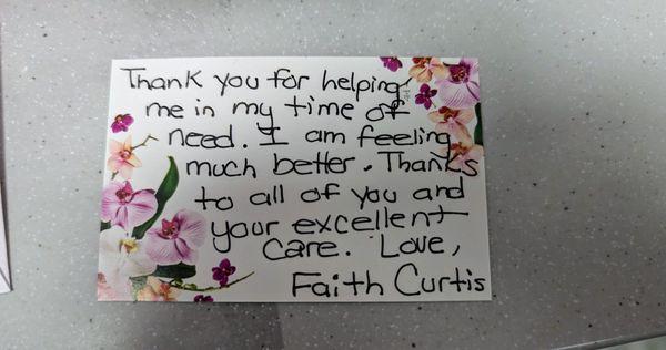 Small Animal Veterinary Servces