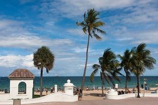 Rieback Medical-Legal Consultants