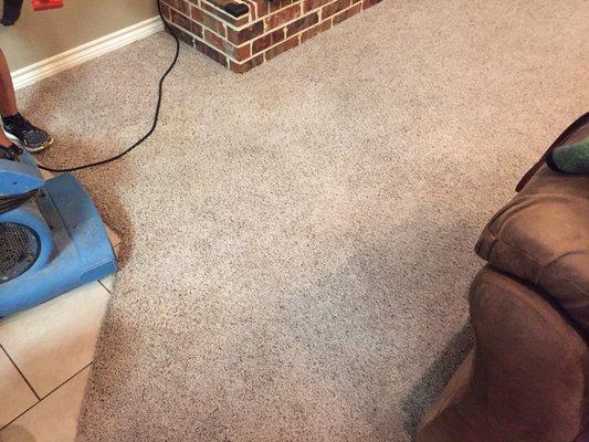 Neat Carpet Cleaners