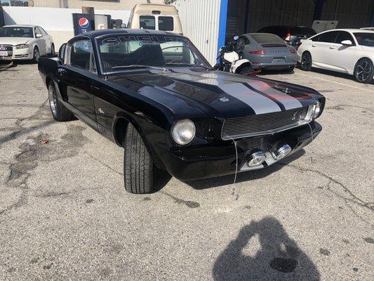 Specialized on classic cars