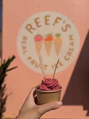 Reef’s Real Fruit Ice Cream