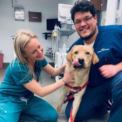 West Chelsea Veterinary