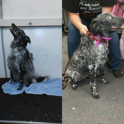 Kristy Barr Grooming